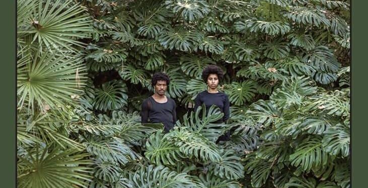Art meets ecology in the outback – UNSW Sydney