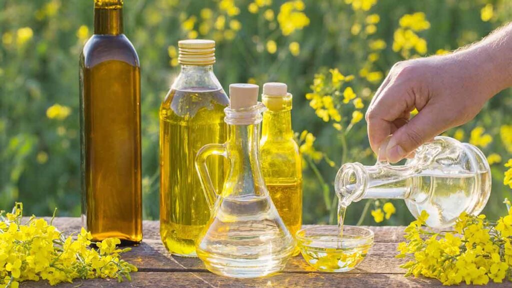 The Forgotten History (and Slippery Science) of Canola Oil – Eater