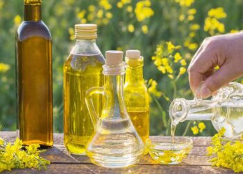The Forgotten History (and Slippery Science) of Canola Oil – Eater