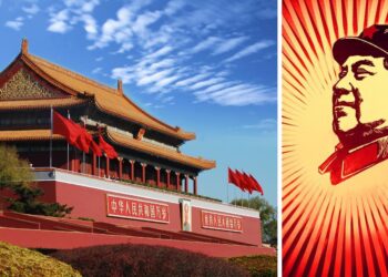 Graphics: China’s ecological, environmental quality keeps improving steadily – news.cgtn.com