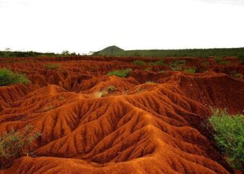 Boise State moves forward with plans for new science building, signaling an investment in STEM majors – The Arbiter | Boise State