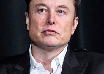 ‘Elon is going to get decimated:’ How Trump’s feud with the world’s richest man might end – USA Today