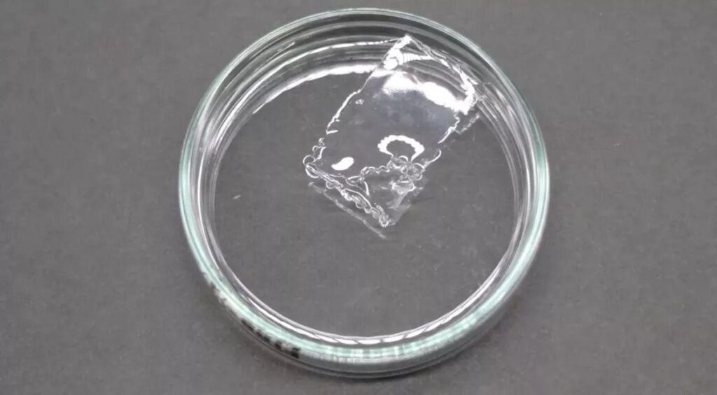Scientists in Japan develop plastic that dissolves in seawater within hours – Reuters