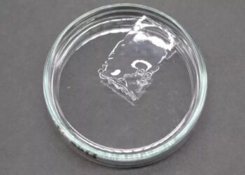 Scientists in Japan develop plastic that dissolves in seawater within hours – Reuters