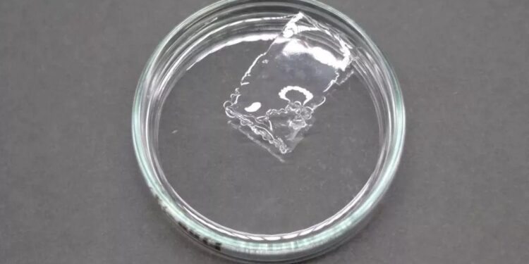 Scientists in Japan develop plastic that dissolves in seawater within hours – Reuters