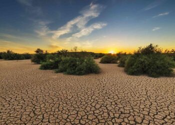 Drought expanded to 19 more watersheds – Washington State Department of Ecology (.gov)