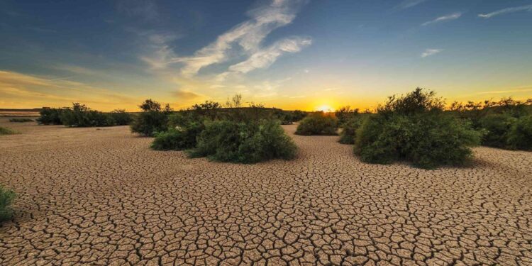 Drought expanded to 19 more watersheds – Washington State Department of Ecology (.gov)