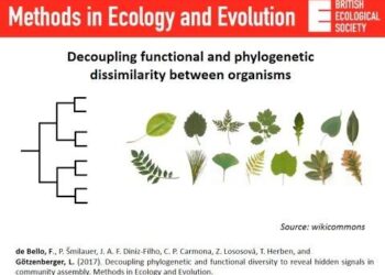 Thresholds of functional trait diversity driven by land use intensification – Nature