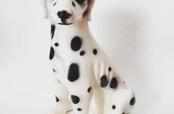 Ceramic Dalmatian Entertainment is WLAF’s Business of the Week – WLAF