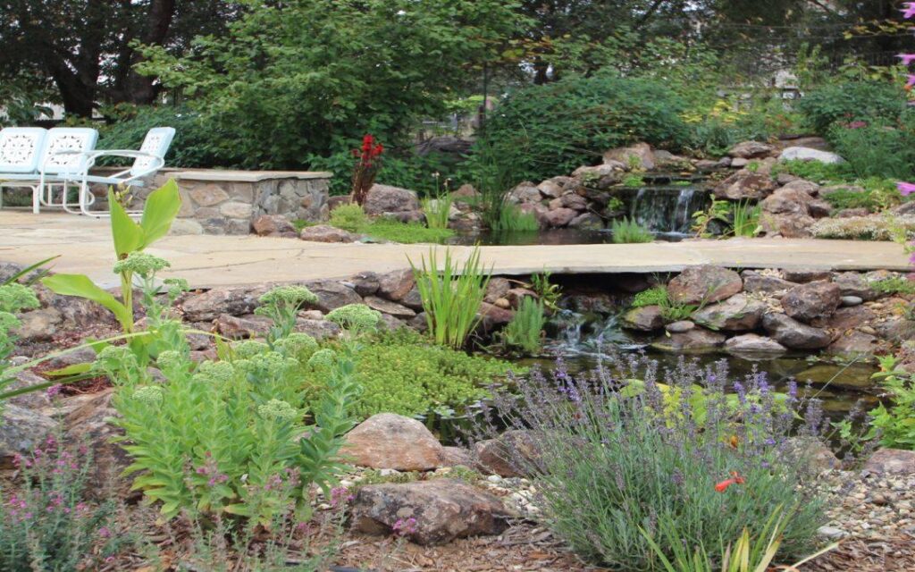 designing for ‘abundance,’ with ecological landscaper kelly norris – A Way To Garden