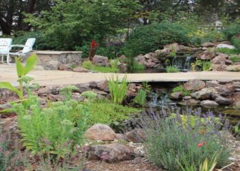 designing for ‘abundance,’ with ecological landscaper kelly norris – A Way To Garden