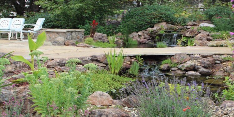 designing for ‘abundance,’ with ecological landscaper kelly norris – A Way To Garden