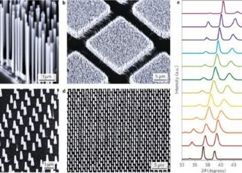 Nanowires replace lost retinal cells – Science | AAAS