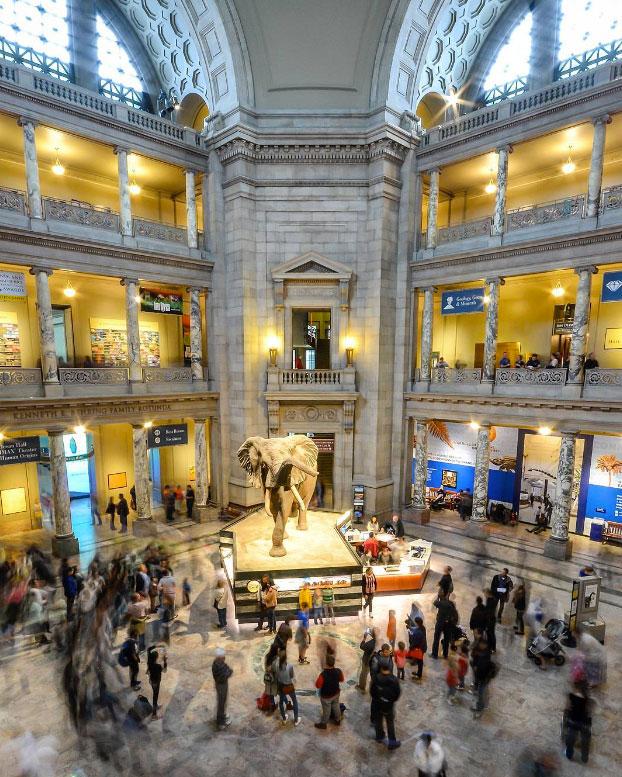 Smithsonian says it’s committed to being free from ‘partisan influence’ after Trump tries to remove gallery director – CNN