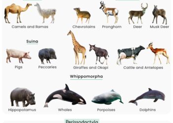 Two major ecological shifts shaped 60 million years of ungulate faunal evolution – Nature