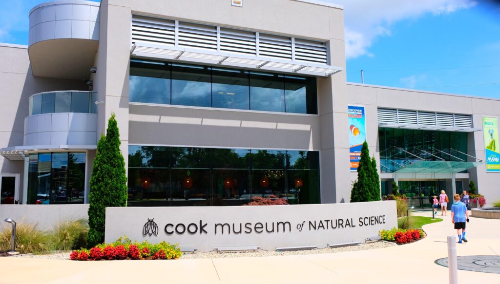 Ssss-ummer fun at Cook Museum of Natural Science – WHNT.com