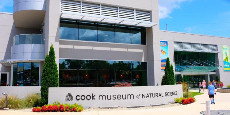 Ssss-ummer fun at Cook Museum of Natural Science – WHNT.com