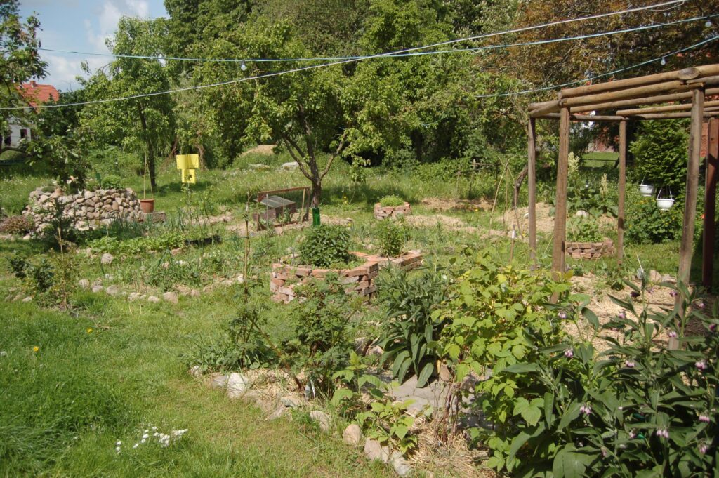Permaculture Club: learning to create a self -sufficient lifestyle – Rockton-Roscoe News