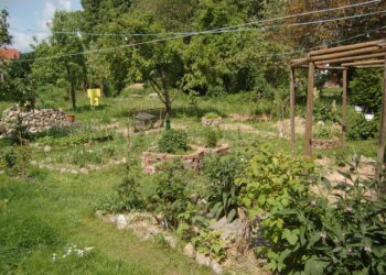 Permaculture Club: learning to create a self -sufficient lifestyle – Rockton-Roscoe News