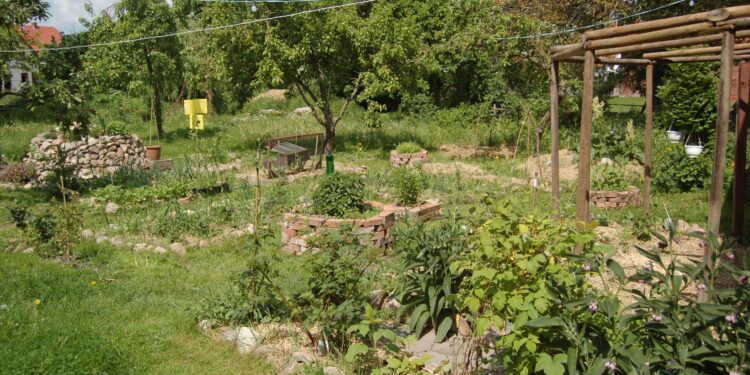 Permaculture Club: learning to create a self -sufficient lifestyle – Rockton-Roscoe News