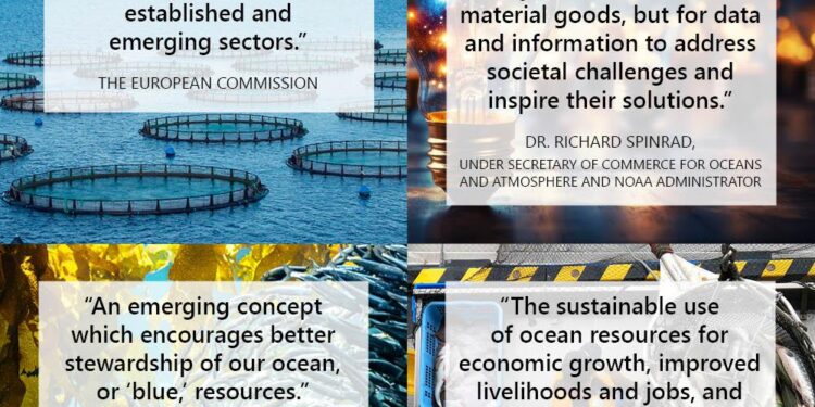 Insurers must promote the blue economy – Eco-Business