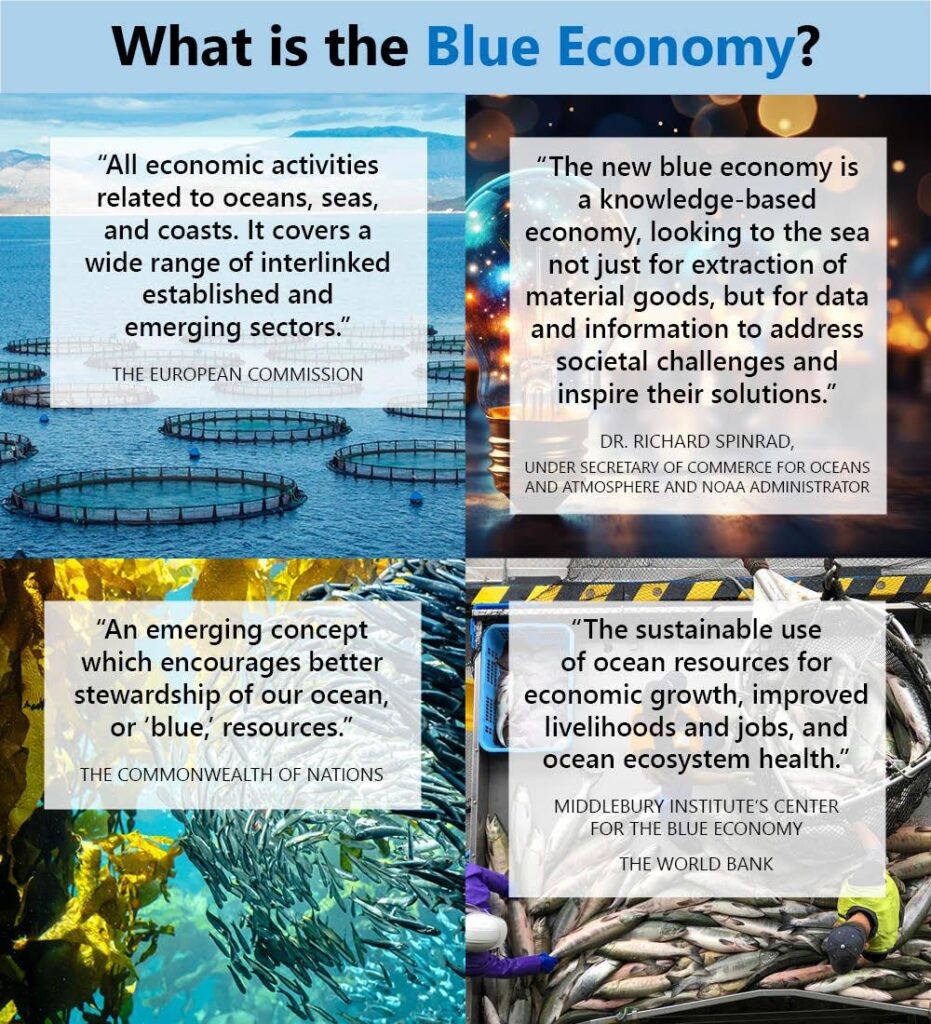 Insurers must promote the blue economy – Eco-Business