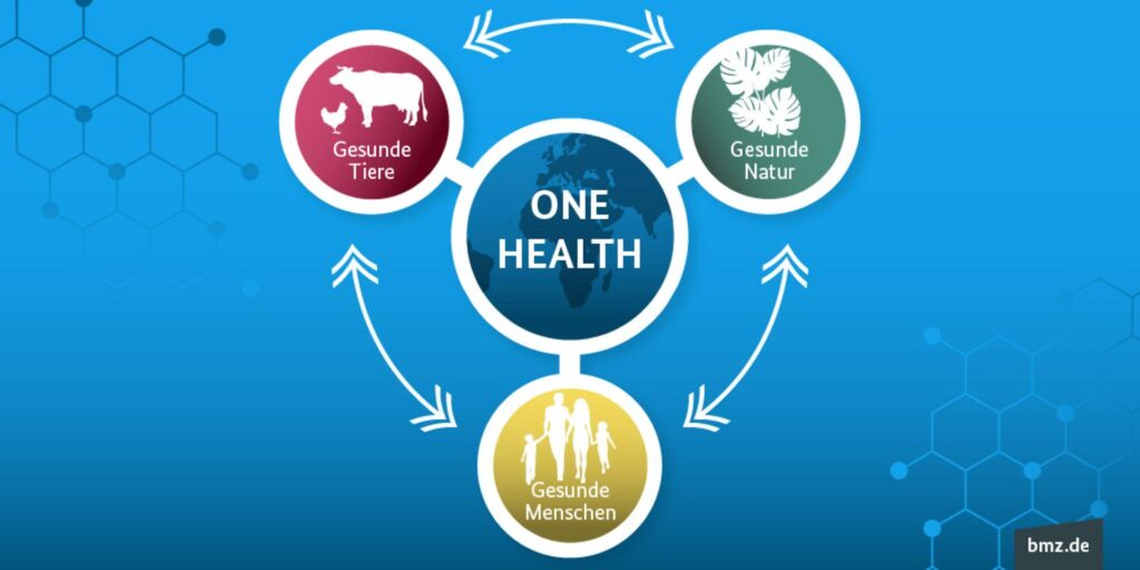 “One Health” needs ecology – PNAS