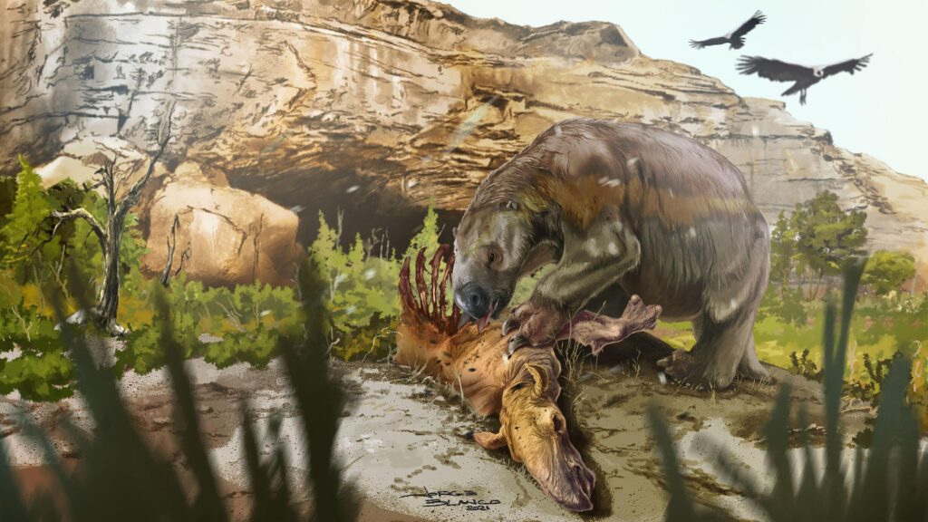 The emergence and demise of giant sloths – Science | AAAS