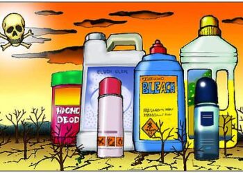 Toxics at home, work, or play? – Washington State Department of Ecology (.gov)