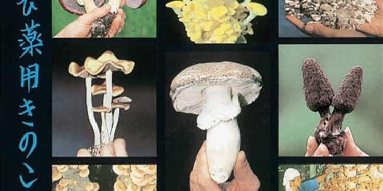 Do medicinal mushroom products actually work? – podcast – The Guardian