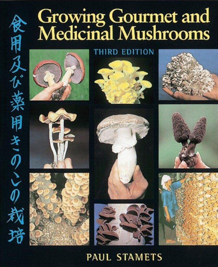 Do medicinal mushroom products actually work? – podcast – The Guardian