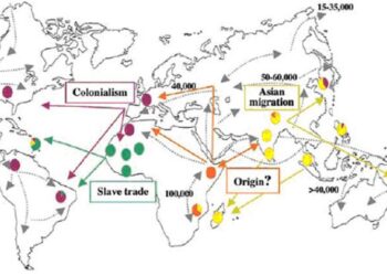 Pre-European contact leprosy in the Americas and its current persistence – Science | AAAS