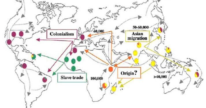 Pre-European contact leprosy in the Americas and its current persistence – Science | AAAS