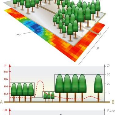 A modeling approach to quantify ecological dynamics and functional structures of paleocommunities – Nature