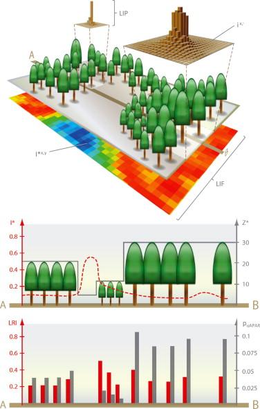 A modeling approach to quantify ecological dynamics and functional structures of paleocommunities – Nature