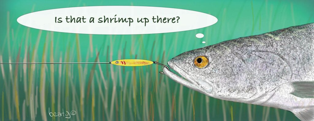 Fish Suffer Up to 22 Minutes of Intense Pain When Taken Out of Water – ScienceAlert