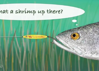 Fish Suffer Up to 22 Minutes of Intense Pain When Taken Out of Water – ScienceAlert