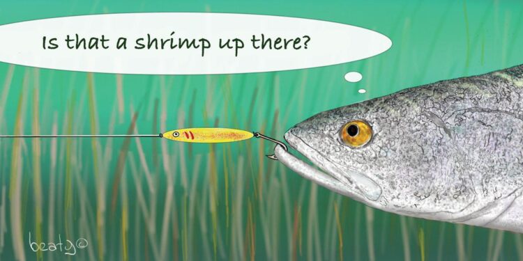 Fish Suffer Up to 22 Minutes of Intense Pain When Taken Out of Water – ScienceAlert