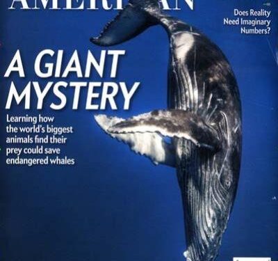 Opinion: American Science Is in a Nosedive – and We’re All on Board – The Austin Chronicle