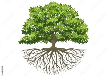 ‘Half the tree of life’: ecologists’ horror as nature reserves are emptied of insects – The Guardian