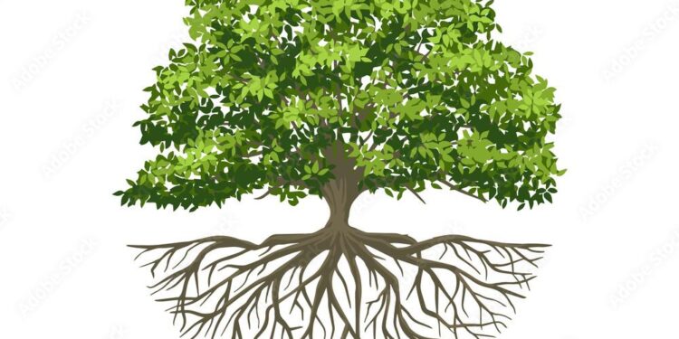 ‘Half the tree of life’: ecologists’ horror as nature reserves are emptied of insects – The Guardian