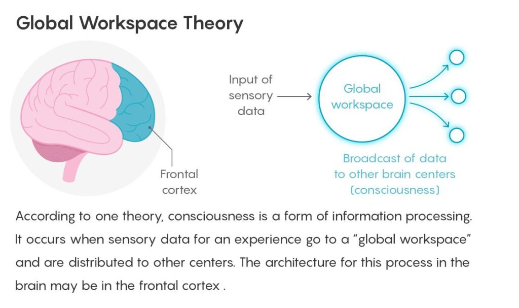 Exploring three theories of consciousness. – Psychology Today