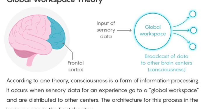 Exploring three theories of consciousness. – Psychology Today