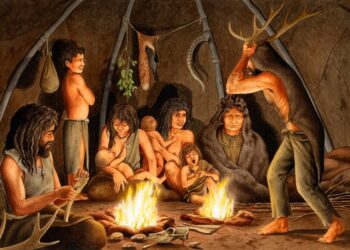 Late Paleolithic whale bone tools reveal human and whale ecology in the Bay of Biscay – Nature