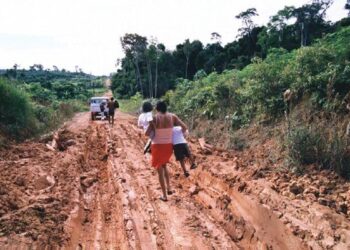 ​​World Rural Development Day: Refugee-Led Farming Projects That Are Feeding the World – USA for UNHCR