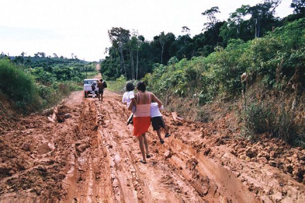 ​​World Rural Development Day: Refugee-Led Farming Projects That Are Feeding the World – USA for UNHCR
