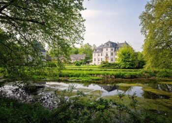 LensToLens: Wetlands guard bird species from plateau to urban landscape – Xinhua