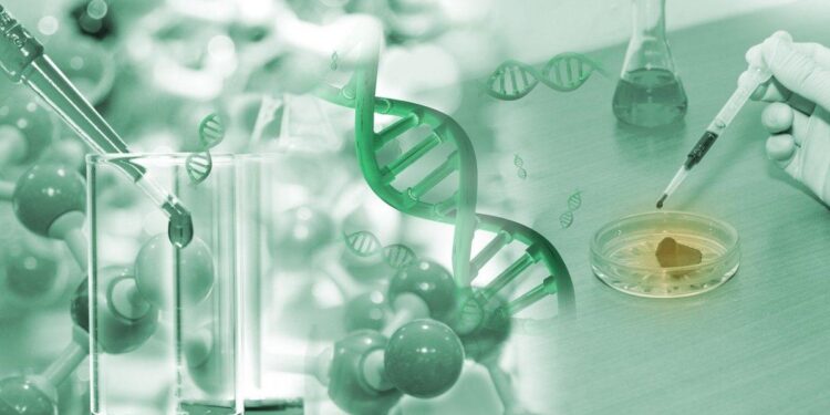 Making Europe a global leader in life sciences – European Commission