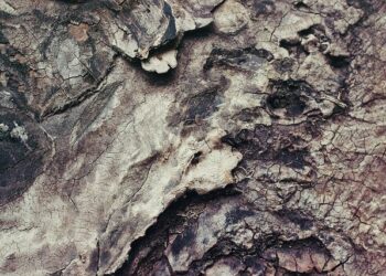 Accelerated data-driven materials science with the Materials Project – Nature