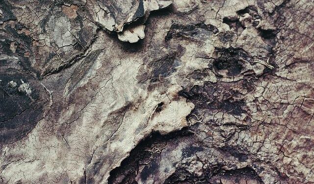 Accelerated data-driven materials science with the Materials Project – Nature